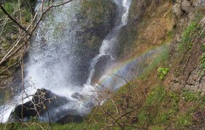 akdagan selalsii ve gökkusagı