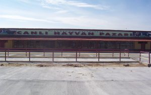 Devrekani Hayvan Pazarı (2)