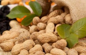‘SaÄŸlıklı’ yaÄŸ içeriÄŸiyle bolca bitkisel protein barındıran fıstık, antioksidan gücü sayesinde yavaÅŸ çalışan metabolizmaları canlandırmada çok etkili.