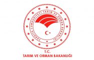 Tarım ve Orman Bakanlığı,2 Bin 153 Sözleşmeli Personel Alacak.İşte Detaylar !