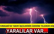 Tarım İşçilerinin Üzerine Yıldırım Düştü.