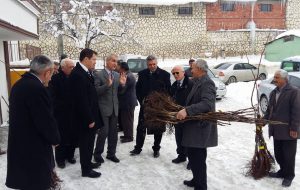 Devrekani_Ceviz_Fidanı_Dağıtımı (3)