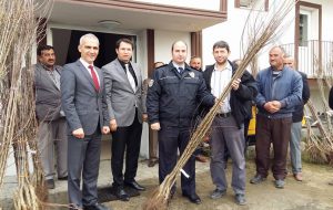 Devrekani_Meyve_Fidanı (1)