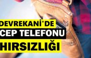 Devrekani’de Cep Telefonu Hırsızlığı