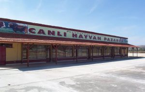 Canlı Hayvan Pazarları Açılıyor…