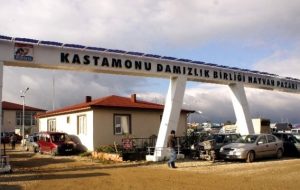 Kastamonu Hayvan Pazarına  ‘ŞAP’ Engeli